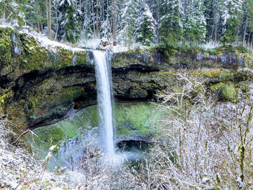 Portland: Silver Falls Hike - Silver Falls State Park: Canyon Trail and the waterfall magic