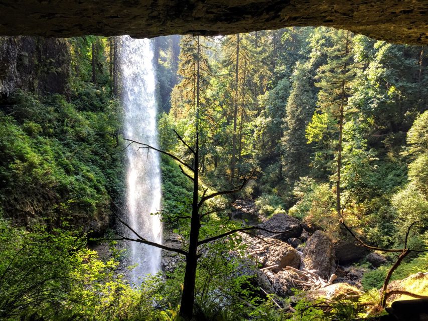 Portland: Silver Falls Hike - On-trail time: pacing a moderate 3-hour hike