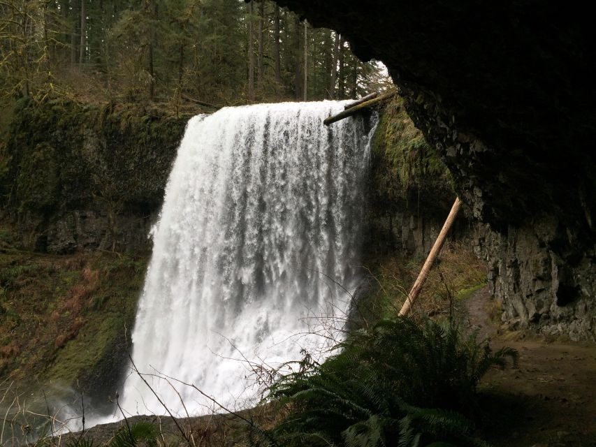 Portland: Silver Falls Hike - Picnic lunch and snacks: fuel that keeps you moving