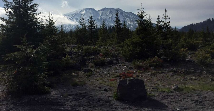 Portland: The Mt. St. Helens Adventure Tour - Ape Cave: 1 to 2.5 hours inside a major lava tube