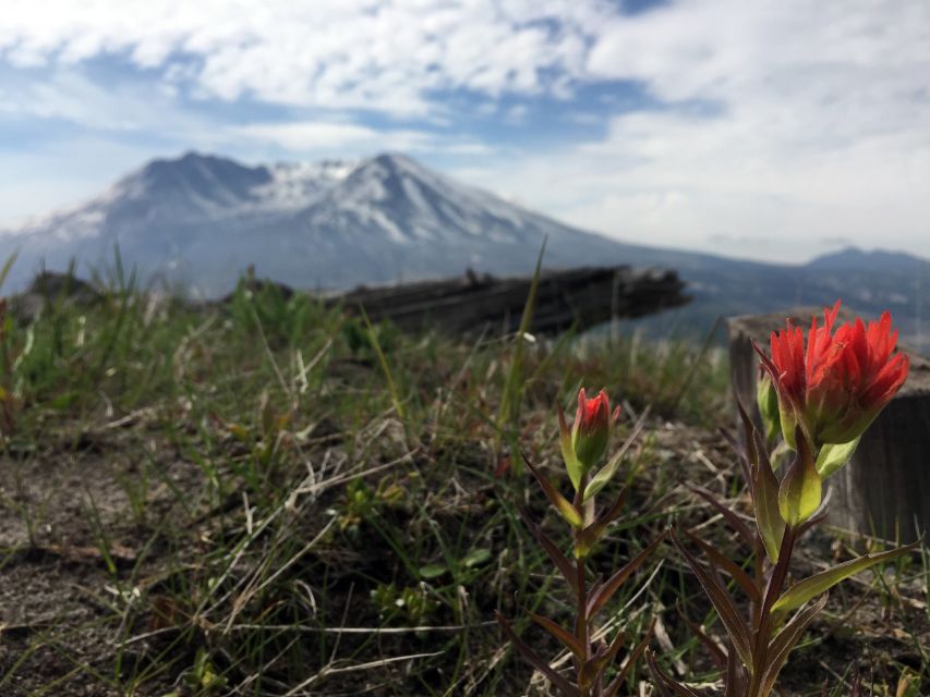 Portland: The Mt. St. Helens Adventure Tour - Spirit Lake picnic lunch and the closest crater viewpoint