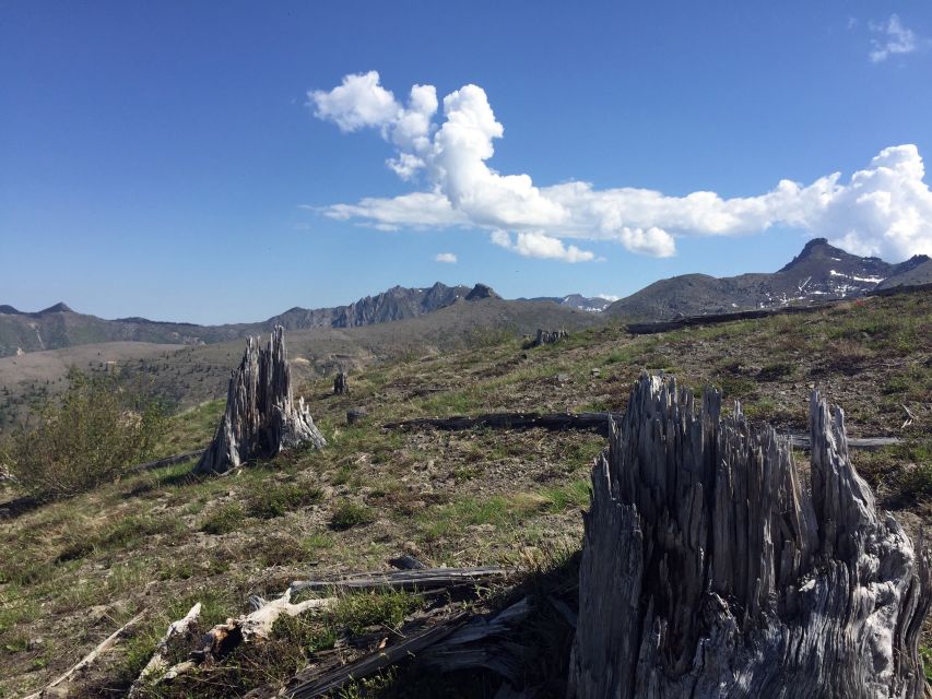 Portland: The Mt. St. Helens Adventure Tour - Small group touring, with a PA system that actually helps