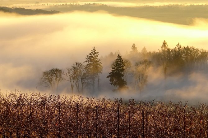 Private Customized Willamette Valley Wine Maker Tour with lunch - Price and what you really get for $350 per person
