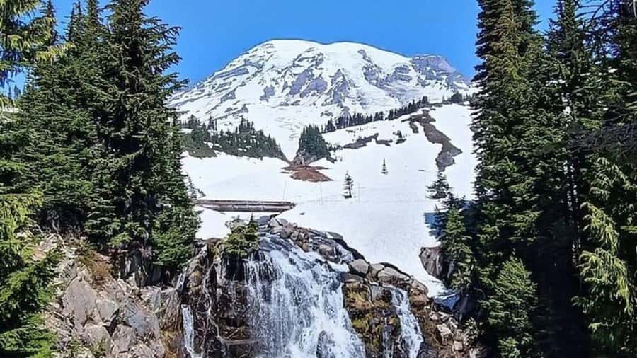 Private Mount Rainier tour from Portland - Quick takeaways