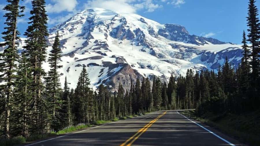Private Mount Rainier tour from Portland - Private Doorstep Pickup from Portland, Then Rainier Without Transfers