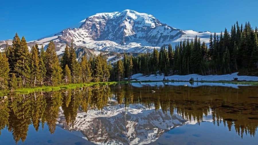 Private Mount Rainier tour from Portland - Mount Rainier National Park First: Big Views, Guided Start, Then Your Own Pace