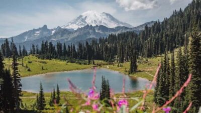 Private Mount Rainier tour from Portland