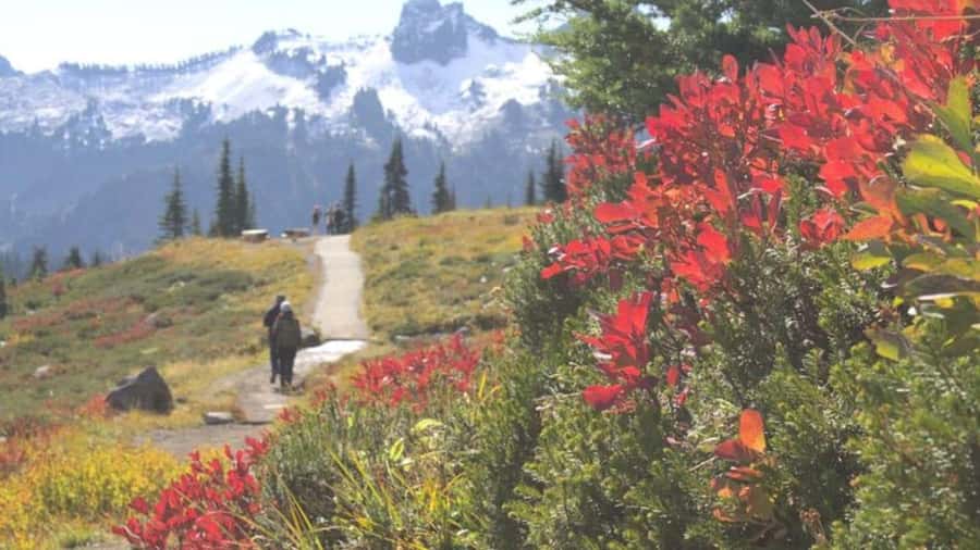 Private Mount Rainier tour from Portland - Reflection Lake: A Calm Finale Before Heading Back