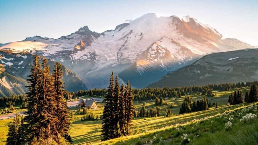 Private Mount Rainier tour from Portland - Who This Tour Fits Best (And Who Might Feel Pressed)