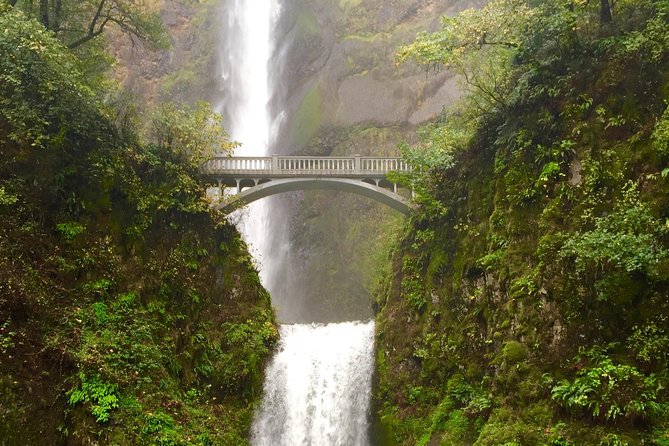 Private - Mt Hood & Columbia River Gorge Waterfalls Tour From Portland - Mt Hood National Forest and the 45-Minute Getaway