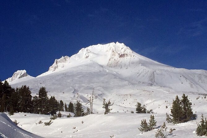 Private Mt Hood Waterfall Tour with Lunch and Wine included - Portland pickup to a private ride that keeps the day easy