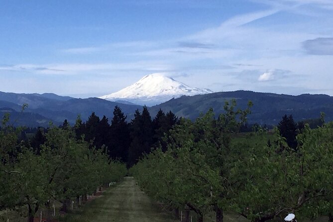 Private Tour at The Hood-Columbia Loop: Timberline, Orchards, and Waterfalls - Bridge of the Gods, Bonneville Lock and Dam, and the hatchery stop