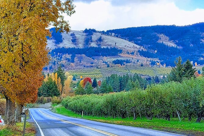 Private Tour at The Hood-Columbia Loop: Timberline, Orchards, and Waterfalls - Crown Point, Rooster Rock, and the Sandy River crossing on the return