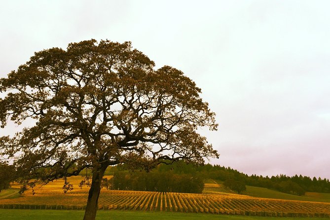 Private Willamette Valley Wine Tour from Portland (All tasting fees included) - Why this Willamette Valley day starts from Portland, not a bus line