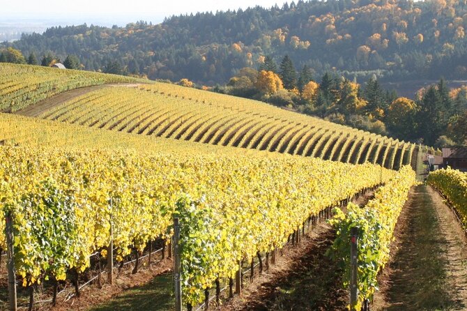 Private Willamette Valley Wine Tour from Portland (All tasting fees included) - The 4x4 private vehicle: comfort, control, and fewer headaches