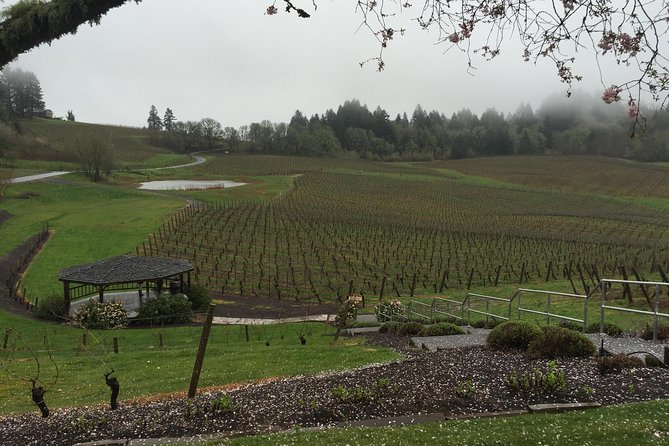 Private - Willamette Valley Wine Tour From Portland (tasting fees included) - Your Willamette Valley Loop: Big Winery, Medium Stop, and Smaller Farms