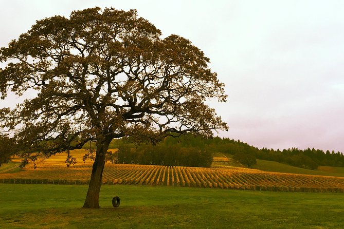 Private - Willamette Valley Wine Tour From Portland (tasting fees included) - Guides Who Explain Terroir, Not Just Grapes