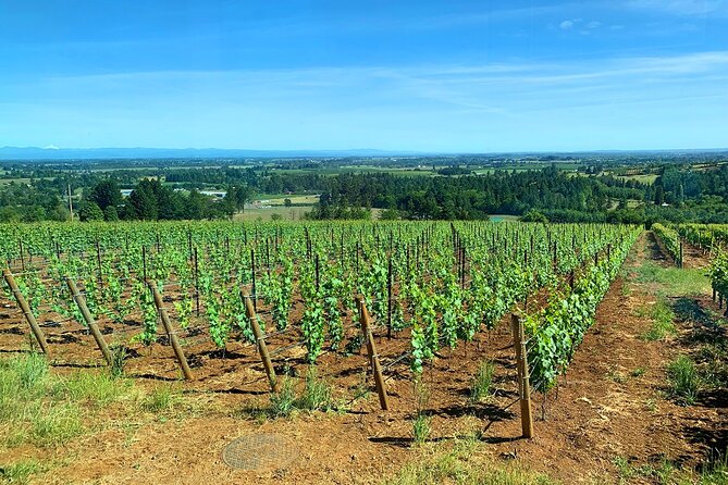 Private Wine Excursion Willamette Valley, Oregon - Wine Tour - Stop 4 Newberg Boutique Winery: Terraces, Stories, and Limited Selection