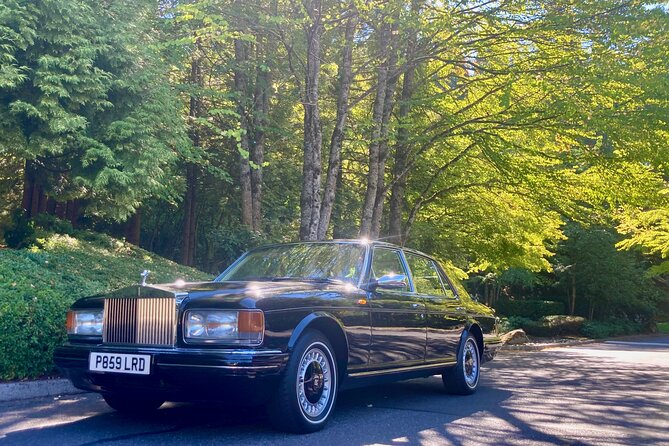 Rolls-Royce & Bentley Chauffeured All-inclusive Wine Tasting Tour - Practical tips to make your tasting day smoother