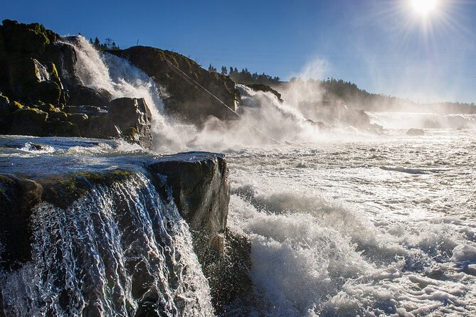 Scenic 2-Hour River Cruise to the Majestic Willamette Falls! - Key highlights at a glance