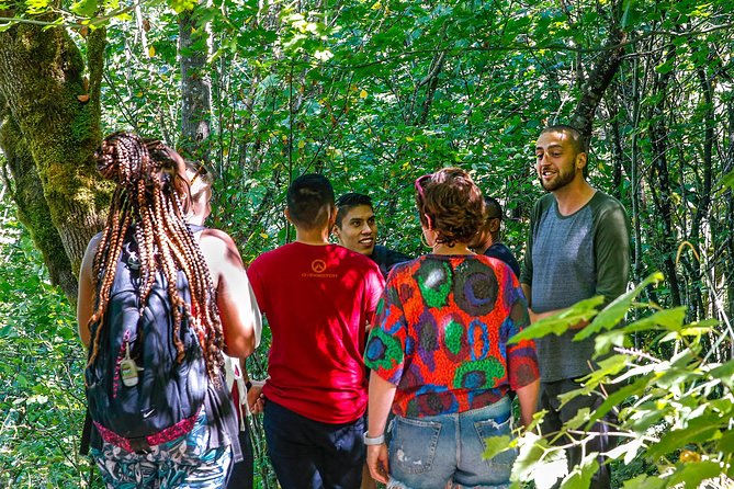 See Multnomah, two waterfalls & Vista House (Transport Included) - Guide Style and the On-the-Day Extras You Might Get