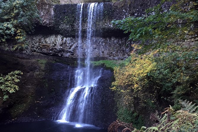Silver Falls Hike - Silver Falls State Park, guided and photo-friendly