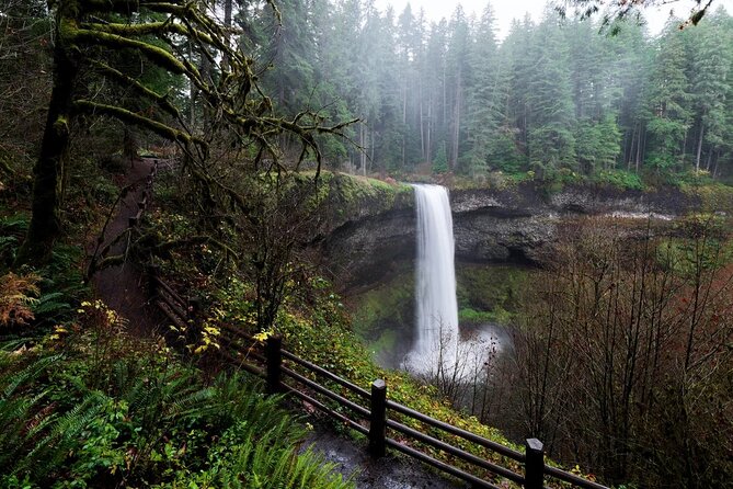 Silver Falls Private Hike Tour - Why a Private Silver Falls Hike Feels Different Than DIY