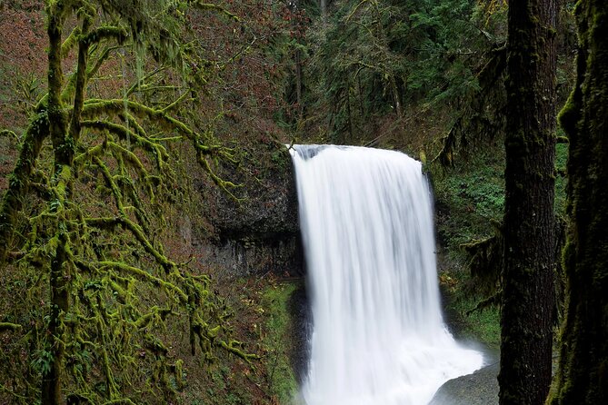 Silver Falls Private Hike Tour - South Falls and Lower South Falls: The Walk-Behind Experience