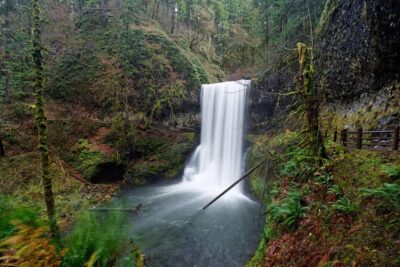 Silver Falls Private Hike Tour