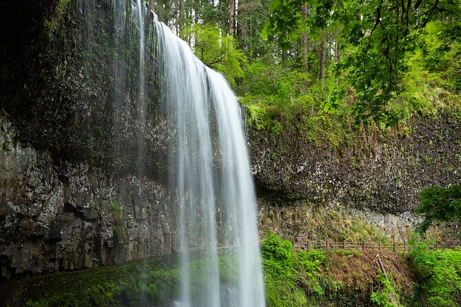 Silver Falls Private Hike Tour - Lower North Falls and Double Falls: When the Long Route Gets Real