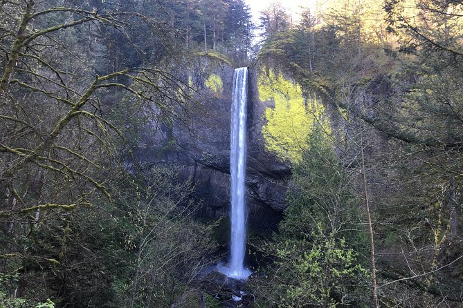 Small Group: Columbia River Gorge Waterfalls Tour from Portland - Why the Columbia Gorge Highway Feels Like a Built-In Scenic Route