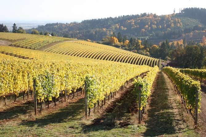 Small Group: Willamette Valley Wine Tour From Portland (Tasting Fees Included) - Stop One: How Sea to Summit Sets Up a Smooth Start