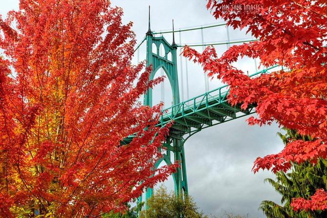 'The Best of Portland' City Tour: Small-Group Sightseeing Tour - Key Points That Matter Before You Go