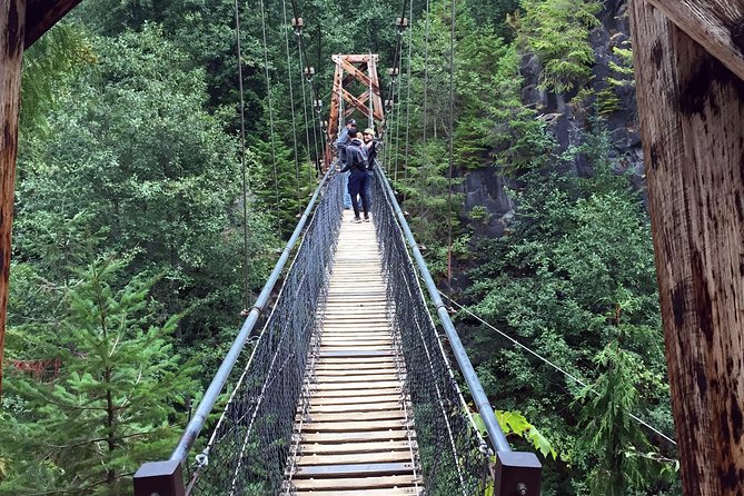 The Mt St Helens Adventure Tour from Portland - Hikes around Mt. St. Helens: waterfalls, old-growth forest, and why a guide matters