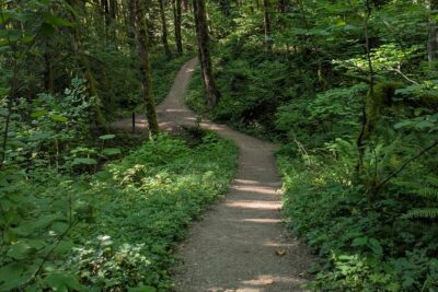 Tryon Creek Eco-tour With a Master Naturalist