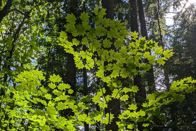 Tryon Creek Eco-tour With a Master Naturalist - What to do before and after the eco-tour