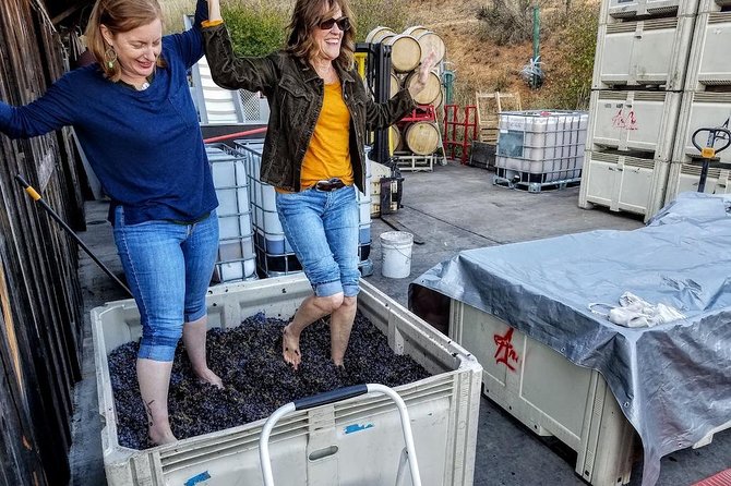 Waterfalls & Wine Tour-Multnomah Falls,Vineyards,Hood River Combo - Hood River Breaks the Day Into Something You Can Enjoy