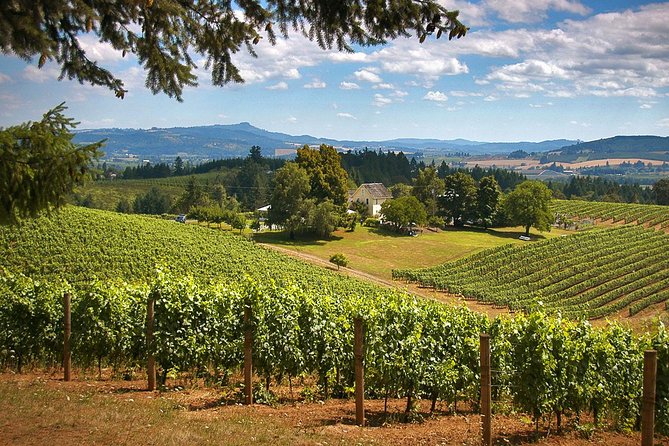 Willamette Valley Wine Tasting Tour from Portland - Key Things That Make This Tour Worth Your Day
