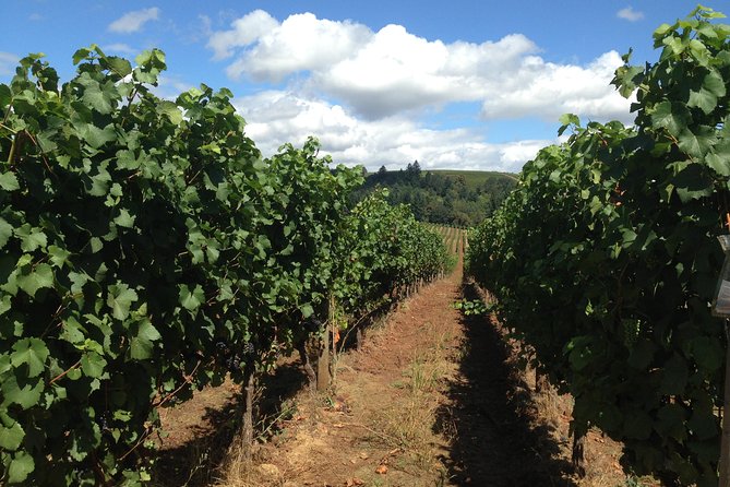 Willamette Valley Wine Tasting Tour from Portland - Three Winery Stops in the Valley: Tastings, Tours, and Pinot Noir Focus