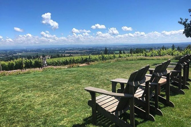 Willamette Valley Wine Tasting Tour from Portland - Comfort on a Long Day: Van Space, Timing, and Food Plans