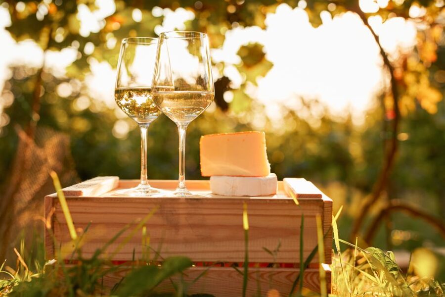 Willamette Valley Wine Tour - Who This Tour Suits Best