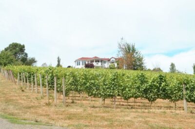 Willamette Valley Wine Tour