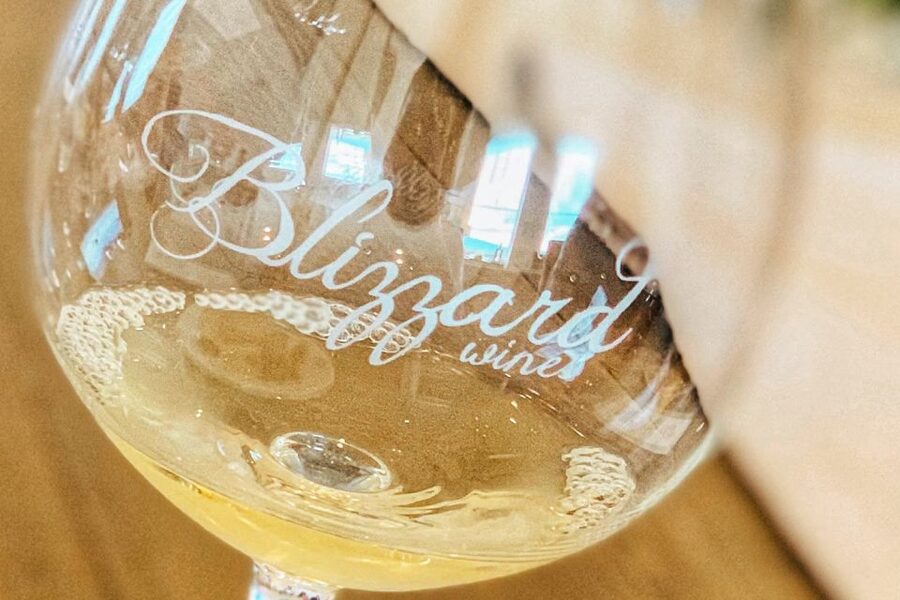 Willamette Valley Wine Tour - What to Bring, What to Skip, and How to Dress for Oregon Weather