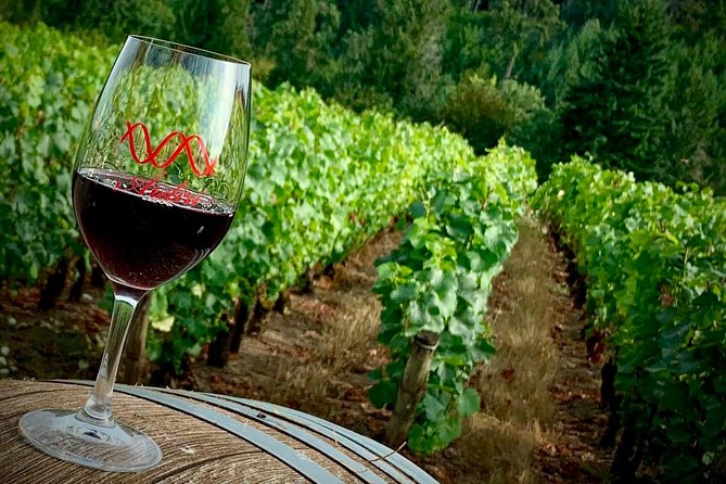 Willamette Valley Wine Tour from Portland - The Route and Towns: Newberg, Forest Grove, Sherwood, Gaston