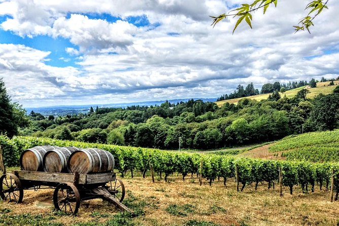 Willamette Valley Wine Tour - Full Day Tour - A focused Willamette Valley route, not a random winery tour