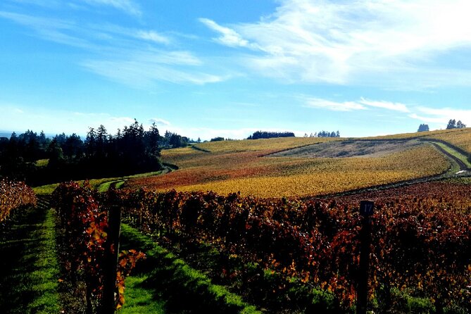 Willamette Valley Wine Tour with Lunch - Who this tour fits best