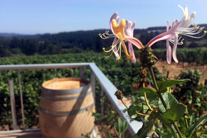 Willamette Valley Wine & Whisky - Quick hits: what makes this Willamette Valley Wine & Whisky tour worth your time